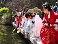 上海再現“花朝節”,新版“十二花神”啟動競選!市花白玉蘭強勢圍觀 上海再現“花朝節”,新版“十二花神”啟動競選!市花白玉蘭強勢圍觀