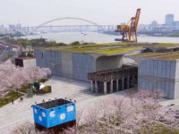 徐匯濱江：8.4公里綠道全線貫通，“花花草草”每一季都有新面貌