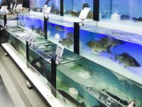 “妙生活”生鮮超市也遭鄰居投訴!新零售、新業態環評有豁免,責任不能免 “妙生活”生鮮超市也遭鄰居投訴!新零售、新業態環評有豁免,責任不能免