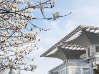 粗糙垃圾桶設計成白玉蘭造型，合適嗎？上海市花白玉蘭的文化價值如何放大