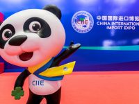 第二屆進博會能否向更多普通觀眾開放？相關方案正在制定