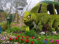 “龍貓巴士”開進上海這座公園，5座花園都交給市民游客打造