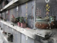 申城14條清明掃墓公交專線已開通 申城14條清明掃墓公交專線已開通