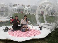 桃園里的“泡泡屋”，浦東新場推出踏青觀景新玩法