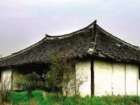 曾遍及上海松江青浦金山的這些古民居——落戧屋,今天還剩多少 曾遍及上海松江青浦金山的這些古民居——落戧屋,今天還剩多少