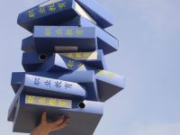 180多個職業體驗項目、超七成職業院校參展，首次聚焦職業教育的上海教博會亮點多多