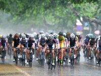 賽段對標“環法”、嘉年華預熱花博會，今年的崇明自行車賽干貨滿滿