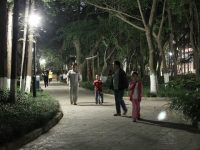 今年力度最大！上海84%城市公園延長開放，24小時公園增至129座