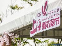 上海又添一家4A級旅游景區，累計投資2.3億元，打造上海灘的“紫色浪漫”