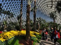 動物園的糞便,上海這座公園照單全收,連殘花敗草也不“放過” 動物園的糞便,上海這座公園照單全收,連殘花敗草也不“放過”