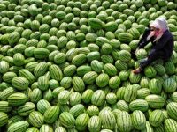 吃瓜群眾再等等,南匯8424月底上市無望,百年一遇連續陰雨是禍首 吃瓜群眾再等等,南匯8424月底上市無望,百年一遇連續陰雨是禍首