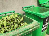 公園門口日產一噸濕垃圾？上海這個街道借力“蠶豆季”推行垃圾分類新時尚