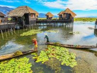 7月1日起，上海多了條直飛緬甸的航線