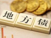 2019年上海可發行政府新增債券917億元,擬用于重點舊改地塊土地儲備支出等 2019年上海可發行政府新增債券917億元,擬用于重點舊改地塊土地儲備支出等