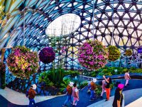 北京世園會“上海少女”驚艷全球游客,上海園“云巢”別有洞天 北京世園會“上海少女”驚艷全球游客,上海園“云巢”別有洞天