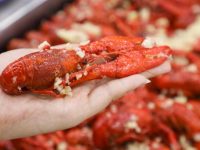 買菜送蔥、搶先上小龍蝦、按照菜單采購……關于“在家做飯”這件事，上海市場很熱鬧