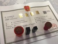 因為上海這個區辦事高效又溫馨，讓這家初創企業“猝不及防”加快創業步伐