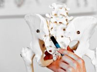 長征醫院牽頭成立泛長三角骨傷救治平臺 長征醫院牽頭成立泛長三角骨傷救治平臺