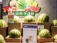 正宗的南匯8424西瓜居然賣不掉?解決方案來了 正宗的南匯8424西瓜居然賣不掉?解決方案來了