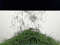 垃圾分類催生處理“神器”!粉碎機、堆肥機在上海“吃”垃圾,腸胃能適應嗎? 垃圾分類催生處理“神器”!粉碎機、堆肥機在上海“吃”垃圾,腸胃能適應嗎?