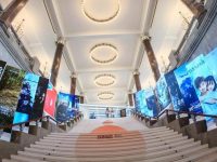 電視市場開門迎客，現實主義“閃光”奪目