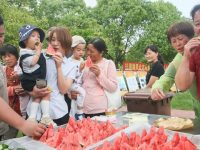 8424西瓜、合慶火龍果、清美豆腐……這些上海灘知名農產品今天發出了一封邀請函