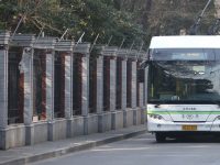 市民當”評委”，上海516條公交線路角逐高品質線路多個“單項獎”