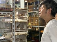 市中心花鳥市場逐漸凋零，市民：網上買得到花，但買不到生活