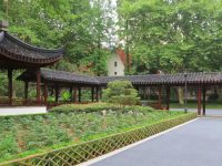 上海中心城區居民又多了一處休憩公園，五星級閘北公園改造后全新開放