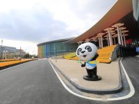 在這里,看到一個更加開放的中國!參展商們已吹響備戰第二屆進博會的沖鋒號 在這里,看到一個更加開放的中國!參展商們已吹響備戰第二屆進博會的沖鋒號