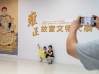 雍正文物“擺駕”奉賢，市民高溫日看展避暑