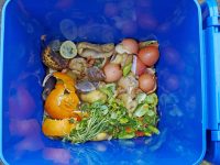 上海垃圾分類進行時，濕垃圾可以不破袋嗎？記者從小區問到末端處置廠，大家這樣說……