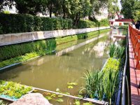 黑臭了30年,上海虹橋機場旁的這條河道如今竟變成了這樣! 黑臭了30年,上海虹橋機場旁的這條河道如今竟變成了這樣!