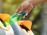 時髦阿姨站崗,模范租客值守,小店老板發了……魔都垃圾分類界“大城小事” 時髦阿姨站崗,模范租客值守,小店老板發了……魔都垃圾分類界“大城小事”