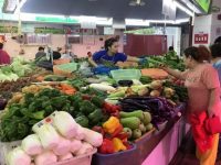 臺風越猛菜價漲得越兇?有了這些“穩壓器”“減壓閥”,市場無憂 臺風越猛菜價漲得越兇?有了這些“穩壓器”“減壓閥”,市場無憂