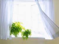 滬上這幾家商場超市的空氣質量，人大代表實地檢測下來情況堪憂