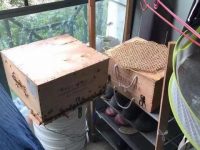 上海一小區竟有租戶養蜜蜂,鄰居怕被蟄反響強烈,社區民警上門勸阻限期處理 上海一小區竟有租戶養蜜蜂,鄰居怕被蟄反響強烈,社區民警上門勸阻限期處理