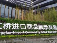 第二屆進博會不設社會公眾日，國家綜合展將延展10天