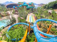 媽媽們看過來：在上海，最流行的親子游是“爸爸去哪兒”