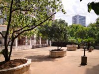 虹口這個小區公共平臺竟成了私人菜園,施肥有臭味,還“養”了大批蚊蟲 虹口這個小區公共平臺竟成了私人菜園,施肥有臭味,還“養”了大批蚊蟲