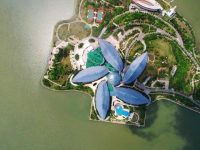 實施具有國際競爭力的稅收制度，臨港重點企業按15%稅率征收所得稅