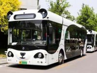 上海這家AI獨角獸的熊貓公交打開南歐東南亞市場