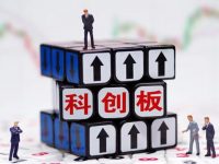 科創板開市以來，浦東已有5家企業成功上市，長三角資本市場服務基地連開分中心