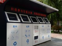 誰來取代“小黃狗”? 誰來取代“小黃狗”?