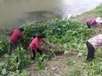 “小菜園”消失、“泥山”被平、公交站搬近……居民在嘉定這個新小區越住越舒心