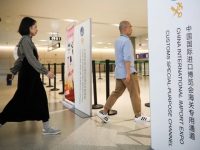 進博會展客商有何禮遇?在機場、海關、邊檢均享專用通道和專窗服務 進博會展客商有何禮遇?在機場、海關、邊檢均享專用通道和專窗服務