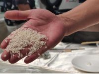 與東北大米打時間差、去社區討好大媽,上海地產大米能逆襲成功嗎? 分享至: (4) (0) 收藏 與東北大米打時間差、去社區討好大媽,上海地產大米能逆襲成功嗎? 分享至: (4) (0) 收藏