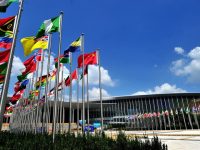 距離這件大事還剩不到一個月，上海42個“城市窗口”準備好了嗎？