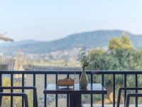 “促進鄉村民宿發展指導意見”推出一年，上海持證鄉村民宿從個位數增加到近500家