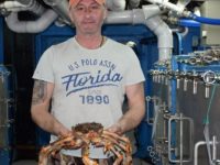 上海進口鮮活帝王蟹吞吐驚人同比增近10倍,現“每月一船”穩定供應更在山東布下一局 上海進口鮮活帝王蟹吞吐驚人同比增近10倍,現“每月一船”穩定供應更在山東布下一局